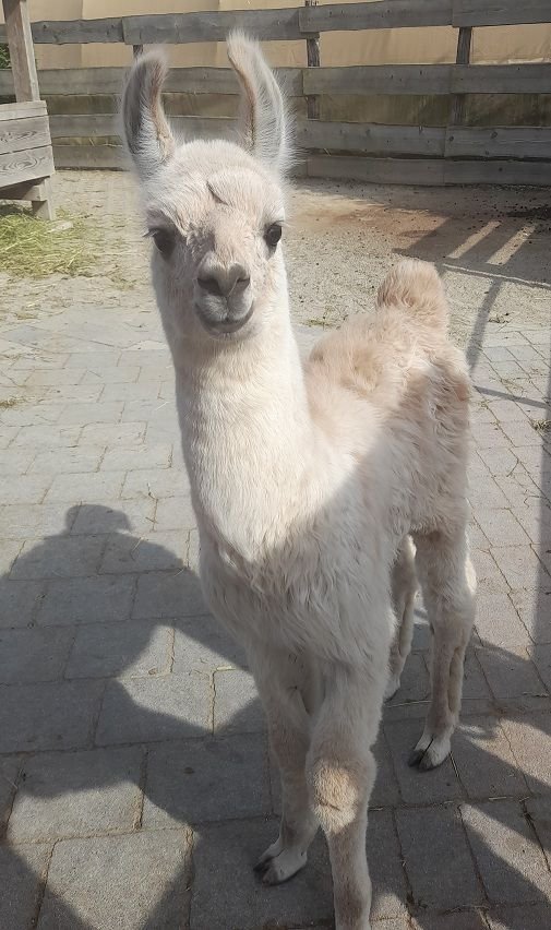 Kursfoto